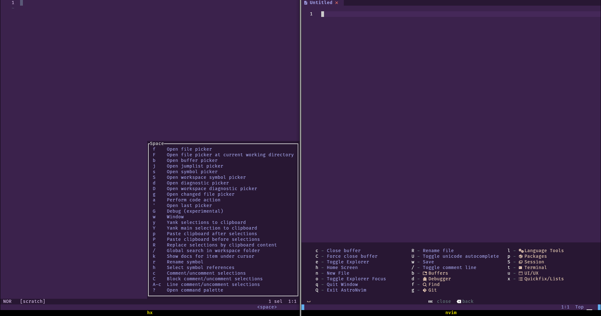 Left, helix with the information pane showing after pressing spacebar. Right, AstroNvim showing a similar information pane.